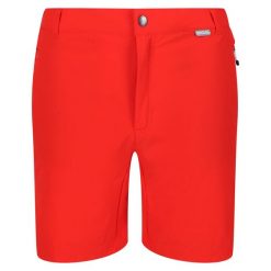 Shorty Męskie Mountain II. Czarne szorty Regatta, l, bez wzorów, sportowe. Za 96.99 zł.
