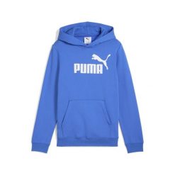 Młodzieżowa polarowa bluza z kapturem ESS z logo No. 1 PUMA Mountain Blue. Niebieskia bluzy z kapturem Puma, m, bez wzorów, z dżerseju, z kapturem. Za 159.00 zł.