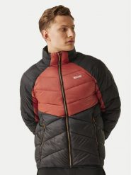 Regatta Kurtka zimowa Dalent RMN248 Czerwony Regular Fit. Czerwone kurtki outdoor i hardshell Regatta, na zimę, m, bez wzorów, z syntetyku, bez kaptura. Za 161.99 zł.