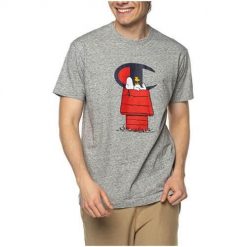 Koszulka sportowa męska Champion X Peanuts. Szare t-shirty sportowe Champion, bez wzorów, z bawełny, bez ramiączek. Za 285.00 zł.