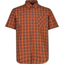 Cmp Man Shirt Koszula męska 100% poliester – 29ZV Antracite-Orange-Vaniglia. Brązowe koszule CMP, m, bez wzorów, z poliesteru, bez kołnierzyka, bez ramiączek. Za 172.00 zł.