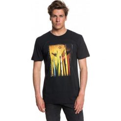 Quiksilver T-Shirt Męski Quivcentralss M Tees kvj0 Czarny L. T-shirty sportowe marki Quiksilver. W wyprzedaży za 69.00 zł.