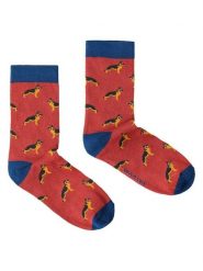 TATUUM Skarpety w kolorze czerwono-granatowym rozmiar: 43-46. Czerwone skarpety Tatuum, bez wzorów, prążkowane. Za 26.99 zł.