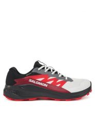 Salomon Buty do biegania Alphaglide Gore-Tex L47802200 Szary. Szare buty do biegania Salomon, bez wzorów, z gore-texu, bez zapięcia, do biegania, gore-tex. Za 319.99 zł.