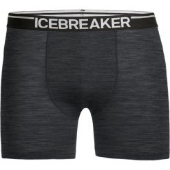Icebreaker Mens Anatomica Boxers Jet Hthr/Black L. Bielizna termoaktywna marki Icebreaker. W wyprzedaży za 125.00 zł.
