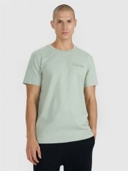 4F T-shirt regular z nadrukiem męski - turkusowy M. Niebieskie t-shirty 4F, m, bez wzorów, z bawełny, bez kołnierzyka, bez ramiączek. Za 59.99 zł.