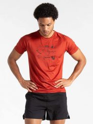 Dare 2b Koszulka sportowa "Tech" w kolorze pomarańczowym rozmiar: M. Pomarańczowe t-shirty sportowe Dare 2B, bez wzorów, bez ramiączek, outdoorowe. Za 70.24 zł.