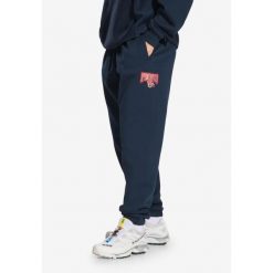 Spodnie dresowe męskie Prosto Chicago. Niebieskie szorty Prosto., m, bez wzorów, z dresówki. W wyprzedaży za 139.99 zł.