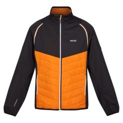 Kurtka Męska Steren Hybrid Soft Shell. Brązowe kurtki Regatta, m, bez wzorów, z softshellu, bez kaptura. Za 135.99 zł.