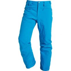 Salomon ICEMANIA Spodnie narciarskie hawaiian. Spodnie narciarskie i snowboardowe marki 4F. W wyprzedaży za 515.40 zł.