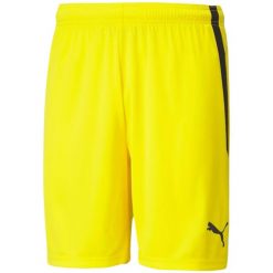 Męskie Spodenki Team Liga. Niebieskie szorty Puma, m, bez wzorów, sportowe. Za 143.99 zł.