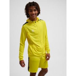 Poliestrowa bluza dresowa z kapturem i zamkiem błyskawicznym Hummel Authentic. Żółte bluzy z kapturem Hummel, bez wzorów, z dresówki, z kapturem. Za 254.50 zł.