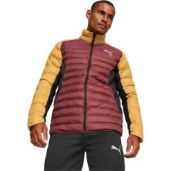 Kurtka Puma Packlite, Mężczyźni. Kurtki Puma, m, bez wzorów, z nylonu, bez kaptura. Za 590.00 zł.