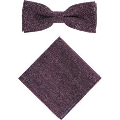 Mucha z poszetką MUW0001237. Krawaty i muchy Giacomo Conti. Za 69.00 zł.