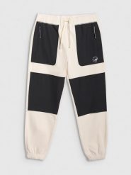 4F Spodnie polarowe joggery męskie - beżowe XL. Brązowe spodnie materiałowe 4F, na co dzień, na zimę, m, bez wzorów, z dresówki. Za 159.99 zł.
