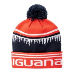 Czapka Unisex Dla Dorosłych Other. Brązowe czapki zimowe IGUANA, bez wzorów. Za 76.99 zł.