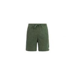 Protest PRTUleyo shorts - Thyme. Zielone szorty Protest, bez wzorów, sportowe. Za 291.50 zł.