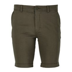 Szorty Cruz Jerryne. Zielone szorty CRUZ, bez wzorów, sportowe. Za 200.50 zł.
