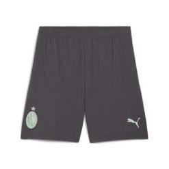 Męskie szorty AC Milan 24/25 PUMA Shadow Gray Fresh Mint Green. Szare szorty Puma, m, bez wzorów, sportowe. W wyprzedaży za 134.00 zł.