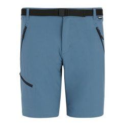 Męskie Spodenki Xert Stretch Shorts. Niebieskie szorty Regatta, m, bez wzorów, sportowe. Za 222.99 zł.