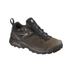 Salomon Buty męskie X Ultra 3 Ltr GTX Delicioso/Bungee Cord r. 44 (404785). Buty trekkingowe marki Salomon. Za 439.00 zł.