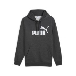 Męska bluza z kapturem Essentials z logo No. 1 PUMA. Szare bluzy z kapturem Puma, m, bez wzorów, z bawełny, z kapturem. Za 229.00 zł.