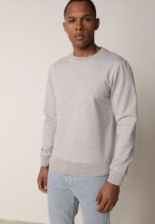 Szara Bluza o Klasycznym Kroju z Bawełną Merinne. Szare bluzy Born2be, l, bez wzorów, z bawełny, bez kaptura. Za 89.99 zł.