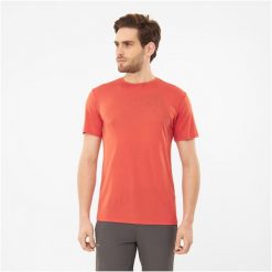 T-shirt męski VIKING Morain. Brązowe bielizna termoaktywna Viking, m, bez wzorów, bez ramiączek. Za 125.99 zł.