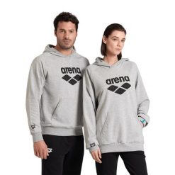 Bluza Arena Arena Hooded Sweat Graphic z kapturem. Szare bluzy z kapturem Arena, m, bez wzorów, z bawełny, z kapturem. Za 269.99 zł.
