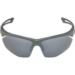 Okulary przeciwsłoneczne Męskie Alpina A8635332. Szare okulary przeciwsłoneczne Alpina. Za 159.00 zł.