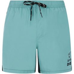 Szorty plażowe męskie PROTEST PRTBen. Odzież kąpielowa Protest, m, bez wzorów, sportowe. Za 189.99 zł.