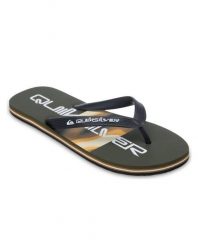 Klapki dla Mężczyzn MOLOKAI STRIPE Zielony. Zielone klapki Quiksilver, z gumy. Za 66.49 zł.