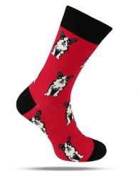 Tematyczne Skarpetki Bawełniane - Psy na Czerwonym Tle. Czerwone skarpety His Story, bez wzorów, z bawełny. Za 34.99 zł.