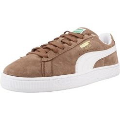 Buty PUMA YELLOW 39978141 Brązowy. Brązowe buty turystyczne Puma, bez wzorów, z materiału, bez zapięcia, na fitness i siłownię. Za 356.99 zł.