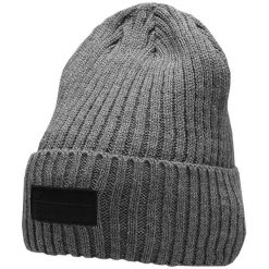 Czapka męska 4F średni. Szare czapki zimowe 4F, bez wzorów, z materiału. Za 47.99 zł.