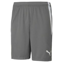 Szorty Puma Teamliga 13 Szorty Dorosłych. Białe krótkie spodenki sportowe Puma, l, bez wzorów, z poliesteru. Za 196.00 zł.