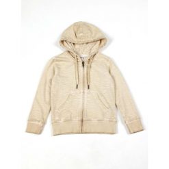 Bluza z bawełna z kaptur na co dzień na siłownię. Szare bluzy LEONE 1947 APPAREL, bez wzorów, z bawełny, bez kaptura. W wyprzedaży za 101.80 zł.