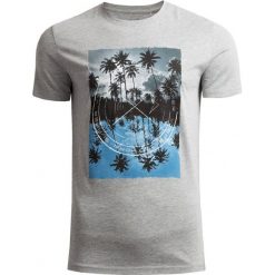 T-shirt męski TSM617 - chłodny jasny szary melanż - Outhorn. T-shirty Outhorn. Za 49.99 zł.