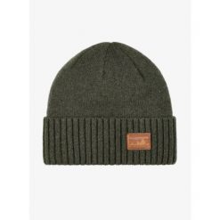 Czapka zimowa Patagonia Brodeo Beanie - skyline pine needle green. Zielone czapki zimowe Patagonia, bez wzorów. Za 134.99 zł.