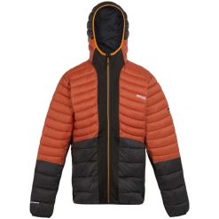 Męska Kurtka Leedre Hybrid Padded Jacket. Niebieskie kurtki Regatta, m, bez wzorów, z elastanu, z kapturem. Za 153.99 zł.