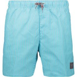 Szorty kąpielowe "Sunstripe Print" w kolorze biało-błękitnym. Kąpielówki marki Speedo. W wyprzedaży za 115.95 zł.