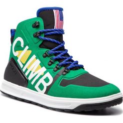 Sneakersy POLO RALPH LAUREN - Alpine200 809720512002 Green Mu. Buty sportowe casual marki Polo Ralph Lauren. W wyprzedaży za 509.00 zł.