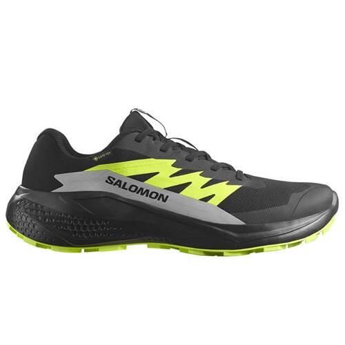 Buty do biegania męskie Salomon Alphaglide Gtx. Czarne buty do biegania Salomon, bez wzorów, z materiału, bez zapięcia, do biegania. Za 517.00 zł.