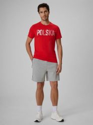 4F Spodenki kibica męskie - szare XXL. Szare szorty 4F, m, bez wzorów, z dresówki. Za 149.99 zł.