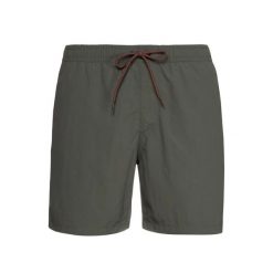 Szorty kąpielowe Protest Speed. Zielone kąpielówki Protest, m, bez wzorów, sportowe. Za 214.00 zł.