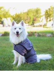 Paws&Whiskers Szlafrok w kolorze szarym dla psa rozmiar: L. Szare szlafroki Paws&Whiskers, l, bez wzorów, z materiału, bez ramiączek, bez kaptura. Za 165.99 zł.