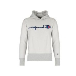 Bluza trekking męska. Szare bluzy Champion, m, bez wzorów, z bawełny, z kapturem. Za 219.00 zł.