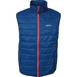 Kurtka puchowa Pro-X Elements Hasn. Niebieskie kurtki PRO-X ELEMENTS, m, bez wzorów, z puchu, bez kaptura. Za 349.50 zł.