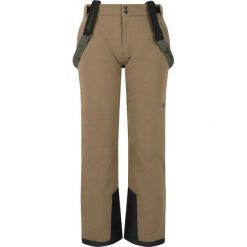 Pantalony narciarskie Whistler Gippslang Pro. Szare spodnie narciarskie i snowboardowe WHISTLER, m, bez wzorów, narciarskie. Za 415.00 zł.