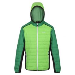 Męska Kurtka Trutton II Baffled Padded Jacket. Zielone kurtki Regatta, m, bez wzorów, z elastanu, z kapturem. Za 145.99 zł.